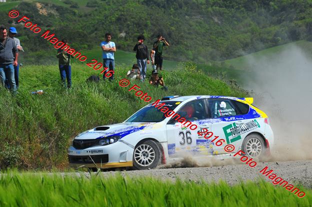 DSC_0809.JPG